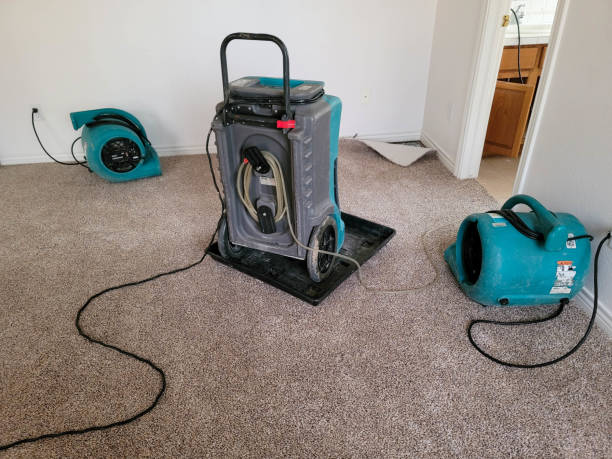 Best Residential water damage restoration  in Eldorado, TX