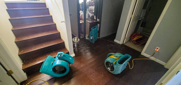 Best Basement water damage restoration  in Eldorado, TX