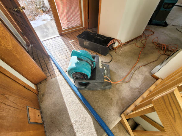 Best Water damage restoration near me  in Eldorado, TX