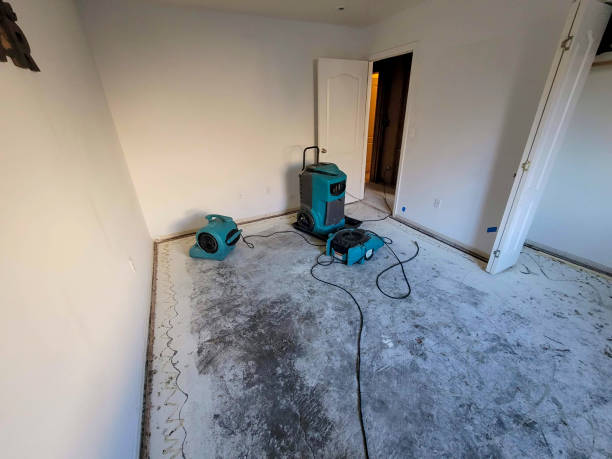 Best Flooded house restoration  in Eldorado, TX