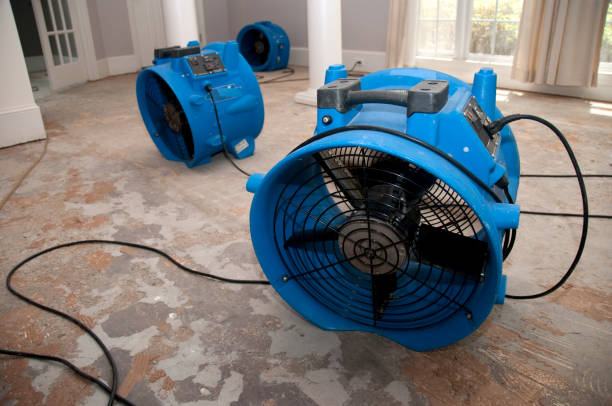 Best Carpet water damage restoration  in Eldorado, TX