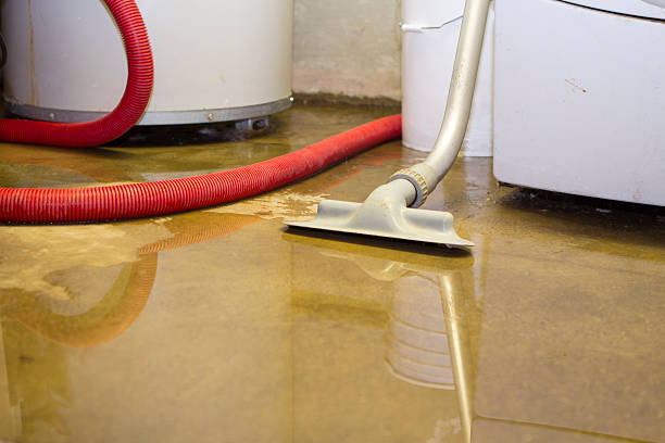 Best Water damage mitigation services  in Eldorado, TX